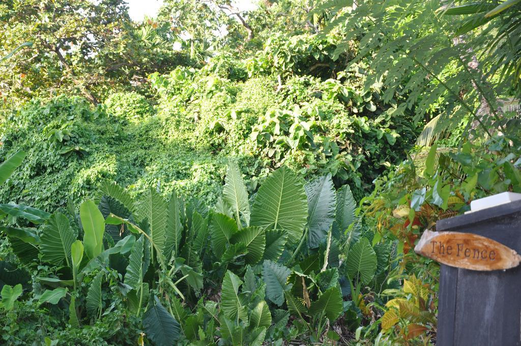 The Fence Bed and Breakfast Bentota Eksteriør billede